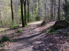 IMGP1075.JPG, avr. 2014 IMGP1075.JPG