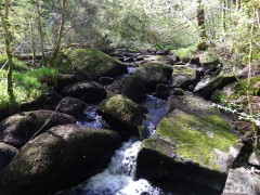 IMGP1077.JPG, avr. 2014 IMGP1077.JPG