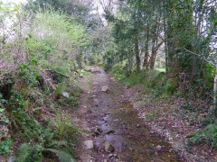 IMGP1104.JPG, avr. 2014 IMGP1104.JPG