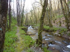 P1040144.JPG, avr. 2014 P1040144.JPG